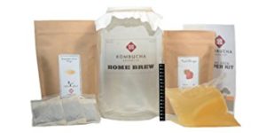 Kombucha Brooklyn Home Brew Starter Kit