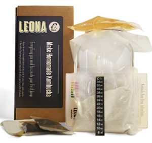 Leona Kombucha Starter Kit