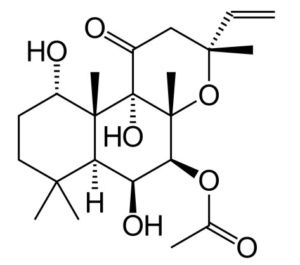 forskolin extract